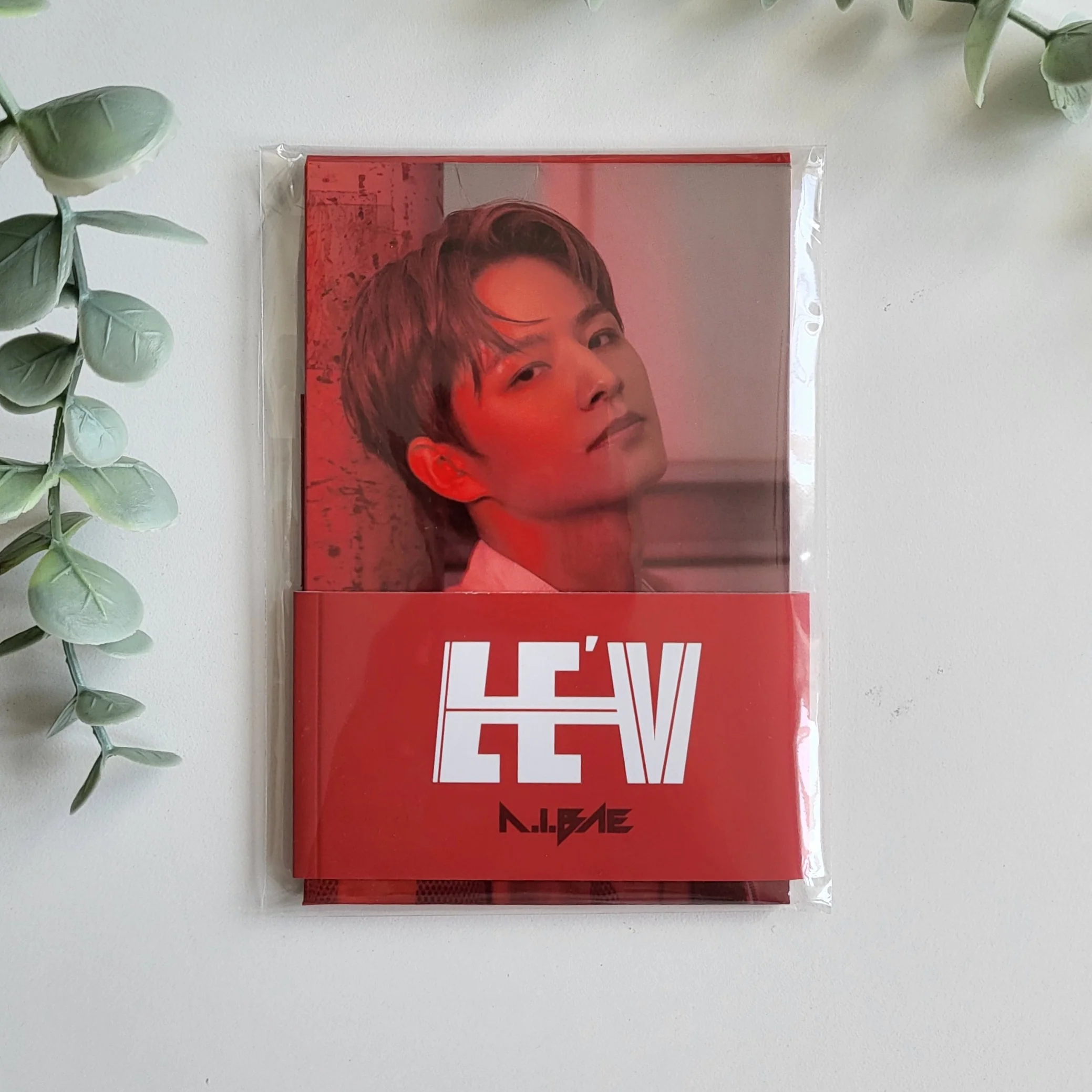LE'V - A.I.BAE [POCAALBUM] - Image 11
