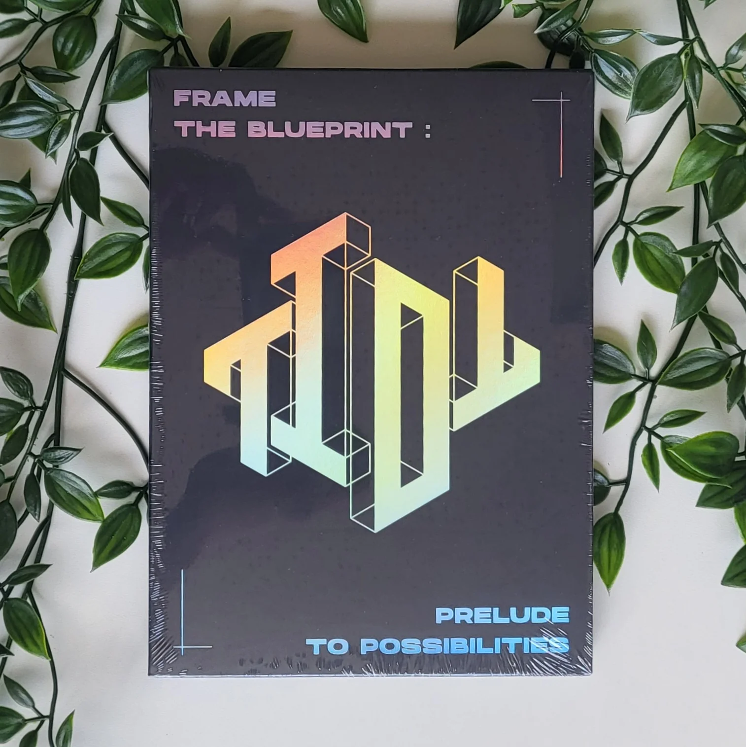 TIOT - FRAME THE BLUEPRINT : PRELUDE TO POSSIBILITIES (2 VERSIONS) - Image 11
